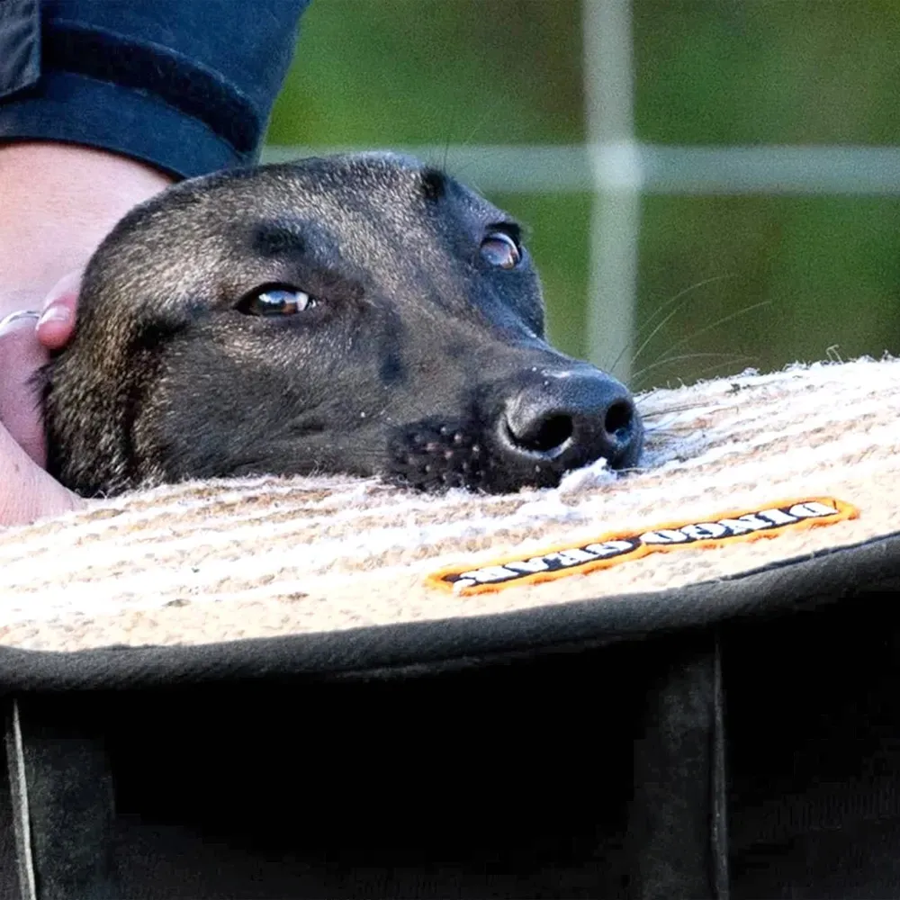 klin-z-juty-gizmo-stan-nowy