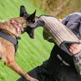 klin-z-juty-gizmo-marka-dingo-gear-stan-nowy