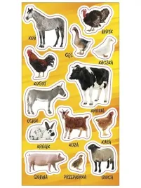 naklejki-zwierzeta-domowe