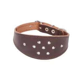 obroza-ze-skory-dla-psa-charta-ozdobna-classic-30-34-cm-brazowy
