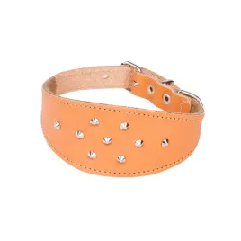 obroza-ze-skory-dla-psa-charta-ozdobna-classic-22-26-cm-naturalny