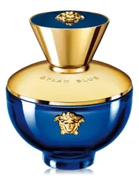 versace-dylan-blue-pour-femme-100-ml-flakon