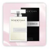 woda-perfumowana-meska-yodeyma-caribbean-100-ml-perfumy-dla-mezczyzn-marka-yodeyma