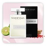 woda-perfumowana-meska-yodeyma-caribbean-100-ml-perfumy-dla-mezczyzn-grupa-zapachowa-swieza-morska