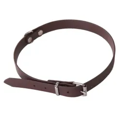 obroza-biothane-dla-psa-brazowa-szer-18-cm-dl-65cm-45-55cm