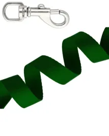 tasma-smyczowa-dla-psa-i-nie-tylko-karabinczyk-gratis-zielona-3-mb