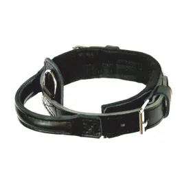 obroza-skorzana-z-raczka-dla-psa-heros-dl-40-52cm