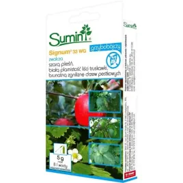 signum-33-wg-5g-oprysk-grzybobojczy-szara-plesn