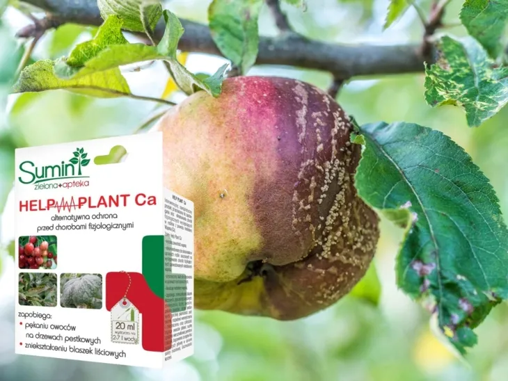help-plant-ca-20ml-sumin-leczy-choroby-zastosowanie-inne