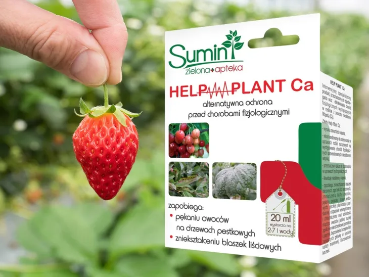 help-plant-ca-20ml-sumin-leczy-choroby-forma-inna-stan-nowy