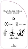 etykiety-rododendron-hybride-marcel-menard-stan-nowy