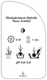etykiety-rododendron-hybride-nova-zembla-stan-nowy