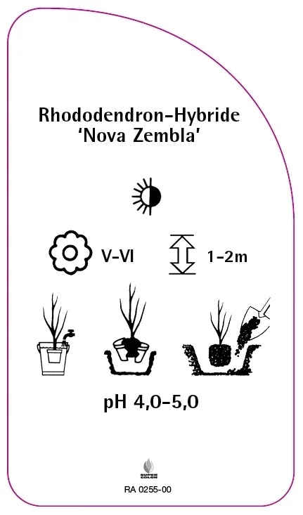 etykiety-rododendron-hybride-nova-zembla