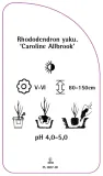 etykiety-rozanecznik-caroline-allbrook-stan-nowy