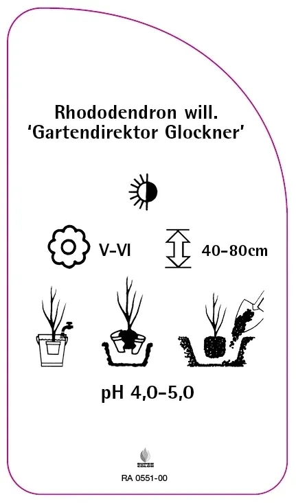 etykiety-rozanecznik-gartendirektor-glockner