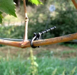 regulowana-opaska-do-mocowania-roslin-guyot-12cm