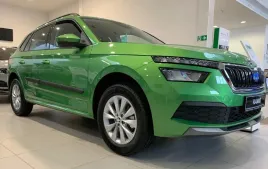 listwy-boczne-drzwi-skoda-kamiq-2019-