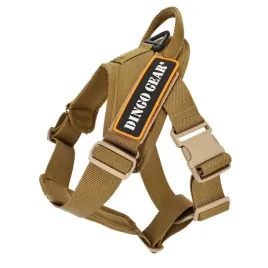 szelki-do-pracy-dla-psa-z-tasmy-coyote-brown-xl