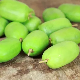 kiwi-aktinidia-kokuwa-ostrolistna-samopylna-p9-c1
