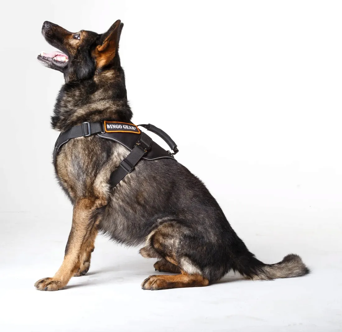 szelki-do-pracy-extreme-cobra-system-czarne-m