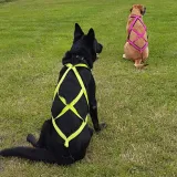 szelki-typu-sled-czarny-s-rodzaj-sportowe