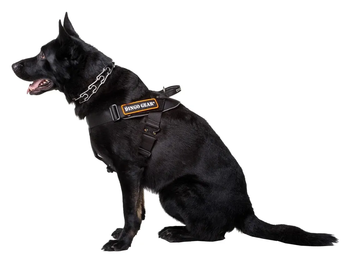 szelki-do-pracy-dla-psa-system-cobra-czarne-l