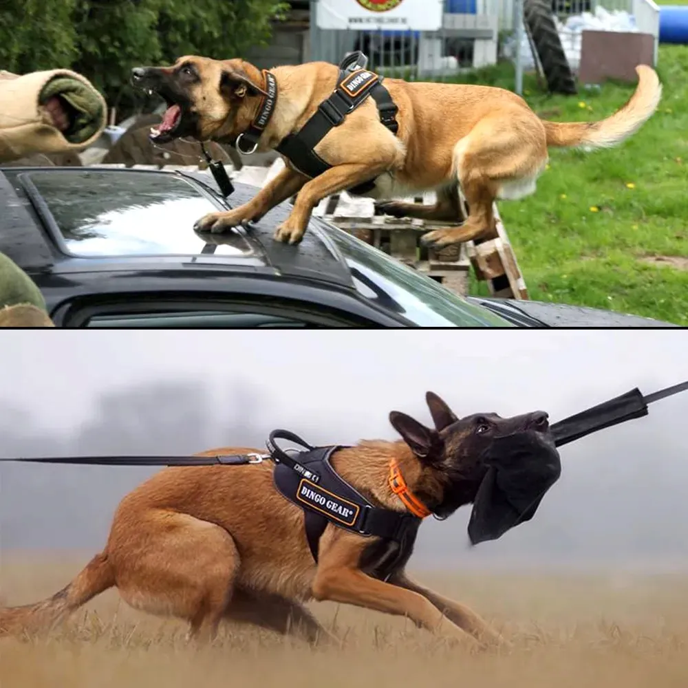 szelki-do-pracy-dla-psa-system-cobra-czarne-l-stan-nowy