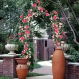 pergola-metal-gotel-luk-262-cm-styl-ogrod-nowoczesny