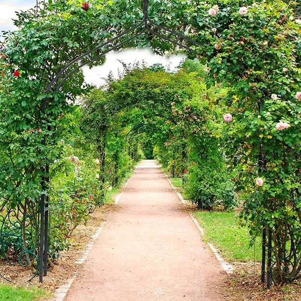pergola-metal-gotel-luk-262-cm-styl-ogrod-nowoczesny-wysokosc-produktu-262-cm