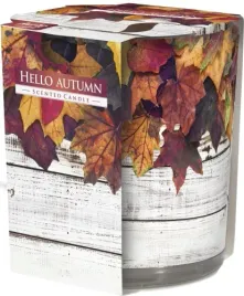 swieca-zapachowa-w-szkle-bispol-22h-powitanie-jesieni