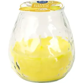 swieca-ogrodowa-w-szkle-bispol-citronella-40h