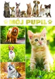 moj-pupil-praca-zbiorowa