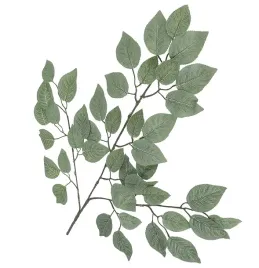 roza-galazka-lisci-zielonych
