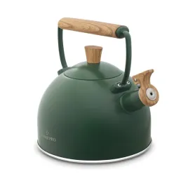 czajnik-na-gaz-i-indukcje-starke-pro-harit-ii-25-l-zielony