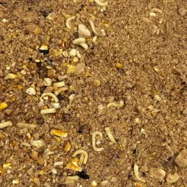 zaneta-wedkarska-slodka-ciasteczko-denna-karp-leszcz-ploc-45kg-nr-1