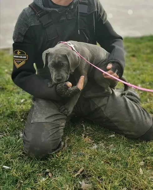 ochrona-reki-dla-pozoranta-z-neoprenu-w-kolorze-czarnym-rodzaj-inny-rodzaj