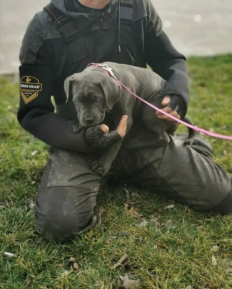 ochrona-reki-dla-pozoranta-z-neoprenu-w-kolorze-czarnym