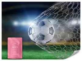 fototapeta-dla-chlopca-pilka-nozna-sport-stadion-bramka-dla-dzieci-250x175