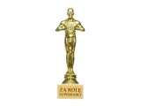 statuetka-za-role-super-babci-18-cm