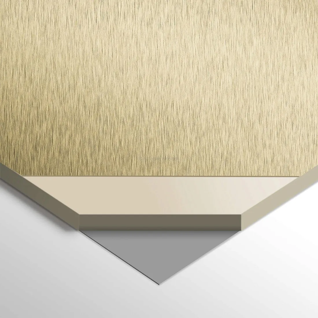plyta-weglowa-panel-wpc-gold-disk-280x110x05cm-polysk-basic