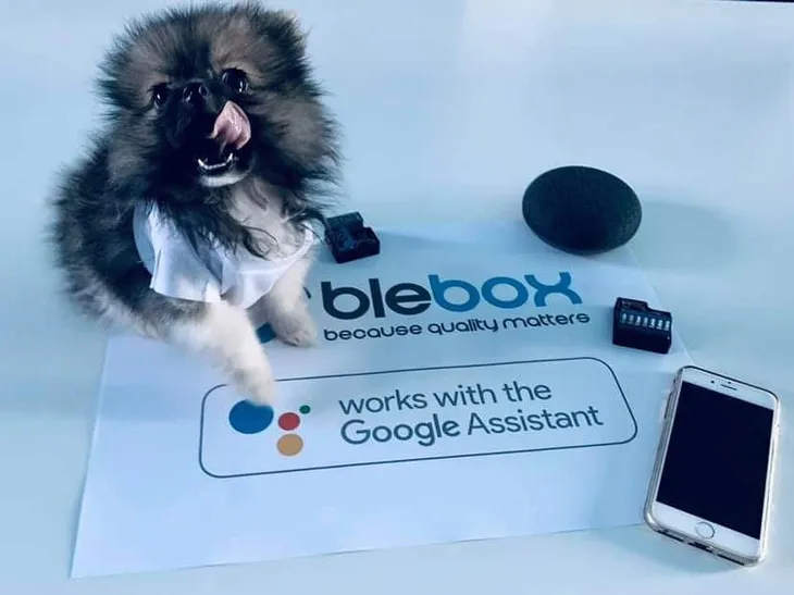 sterownik-blebox-wifi-komunikacja-wifi