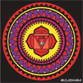 czakra-colorvelvet-muladhara