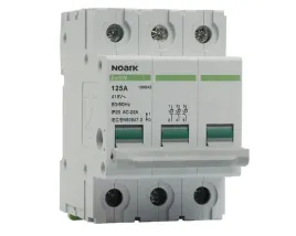 noark-rozlacznik-izolacyjny-3p-100a-ac-108041