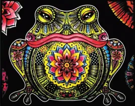 kolorowanka-welwetowa-47x35-zaba