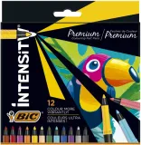 flamastry-intensity-fine-12-kol-5140