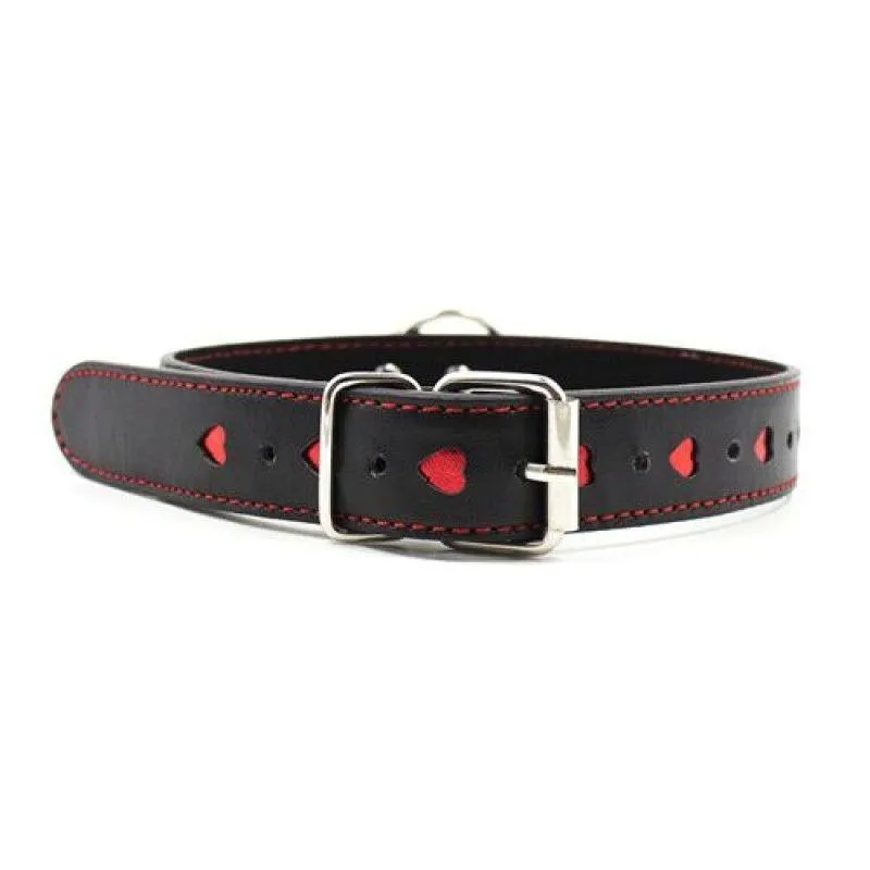 easy-collar-leash-black