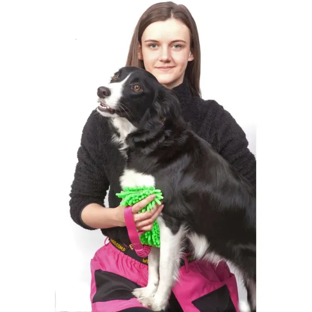 pas-do-treningu-z-psem-turkusowy-s-marka-dingo