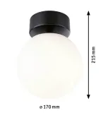 paulmann-lampa-sufitowa-gove-led-9w-3000k-ip44-czarny-mat-waga-z-opakowaniem-1-267-kg