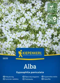 lyszczec-nadobny-alba-kiepenkerl