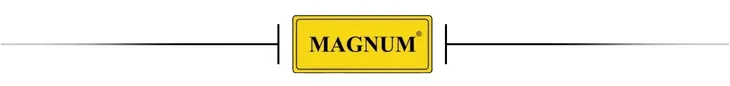 uchwyt-do-cleaner-wbc100-200-magnum-waga-z-opakowaniem-1-5-kg-marka-magnum
